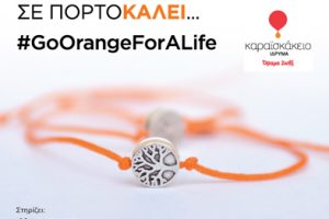 Go-Orange-Vraxioli-2019-3